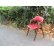 画像1: レトロ 辻木工 ダイニングチェア 赤 アームチェア椅子 (1)