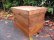 画像5: アンティーク 木味良い 茶箱 サイドテーブル収納