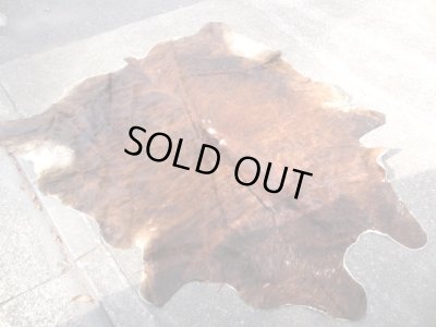 画像2: ヴィンテージ カウラグ