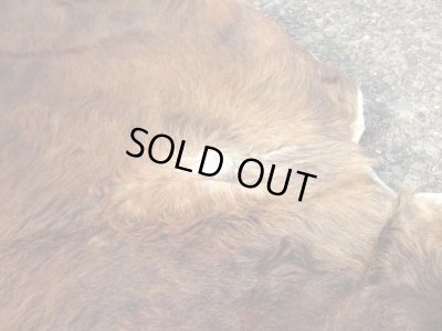 画像6: ヴィンテージ カウラグ