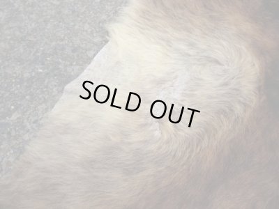 画像3: ヴィンテージ カウラグ