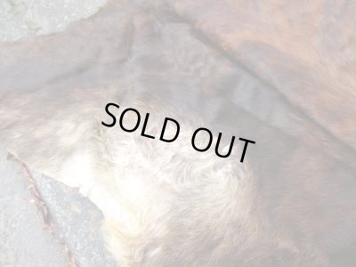 画像8: ヴィンテージ カウラグ