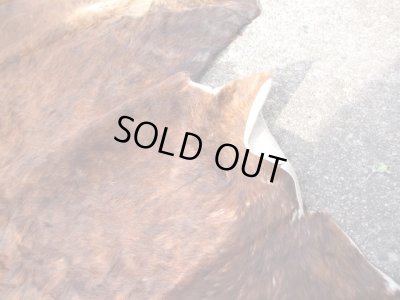 画像5: ヴィンテージ カウラグ