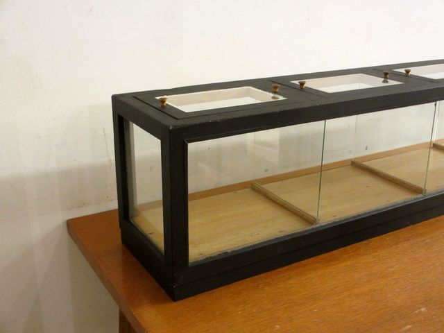 販売情報 g145 ショーケース 卓上 木製ガラスケース 3段 家具