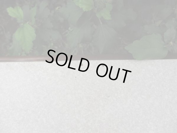 画像9: 古い扉付き 10杯引出し レコードケース