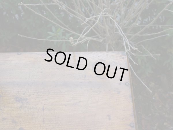 画像9: ヴィンテージ ガラス本箱 キャビネット