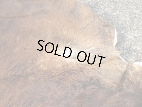 画像6: ヴィンテージ カウラグ