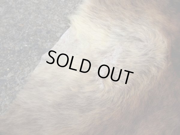 画像3: ヴィンテージ カウラグ