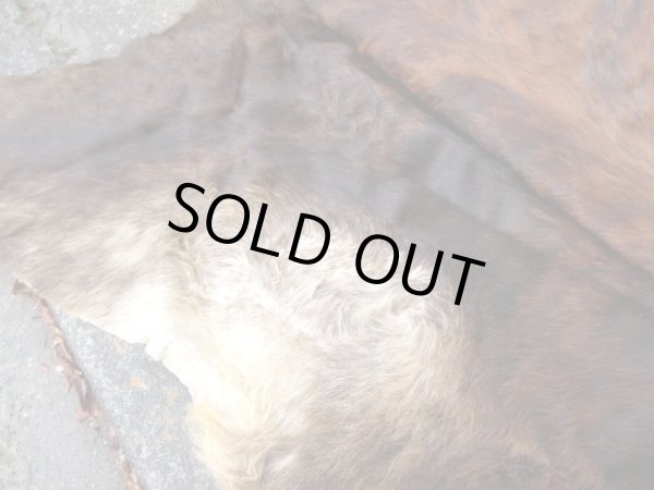 画像8: ヴィンテージ カウラグ