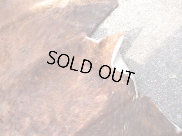 画像5: ヴィンテージ カウラグ