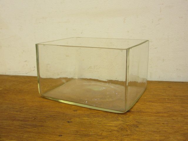 金魚鉢　ガラス